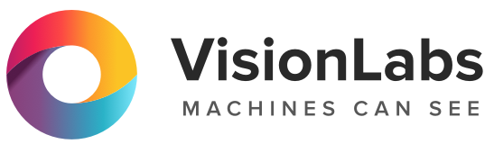 VisionLabs Logo